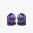 Nike dunk low SB ''Purple lobster''
